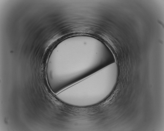 X0000098120971200804040820