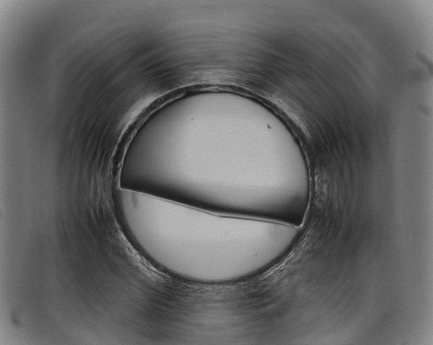 X0000098120972200804040820