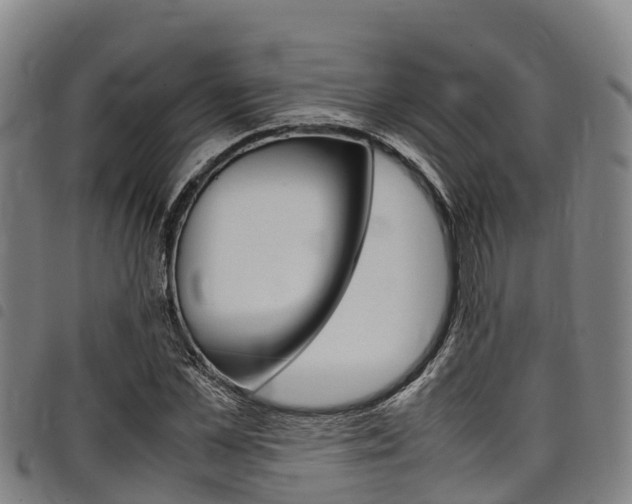 X0000098120973200804040820