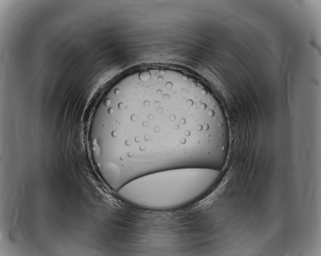 X0000098120974200804040820