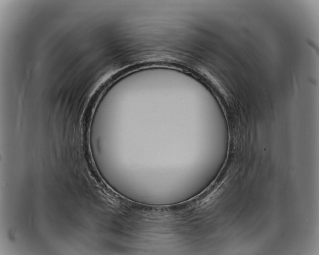 X0000098120975200804040820