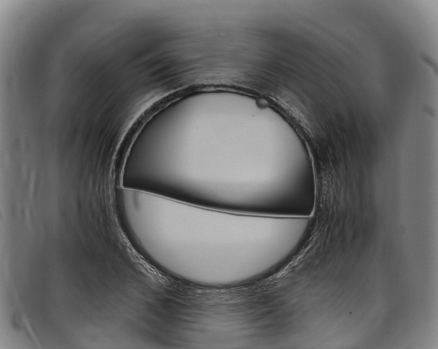 X0000098120976200804040820