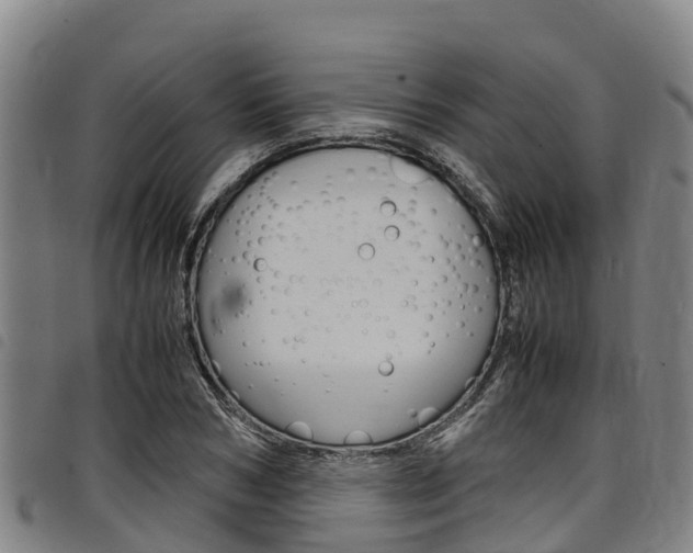 X0000098120978200804040820
