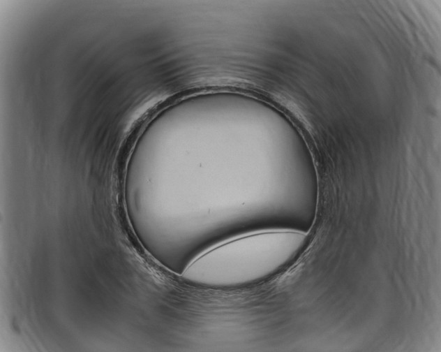 X0000098120979200804040820