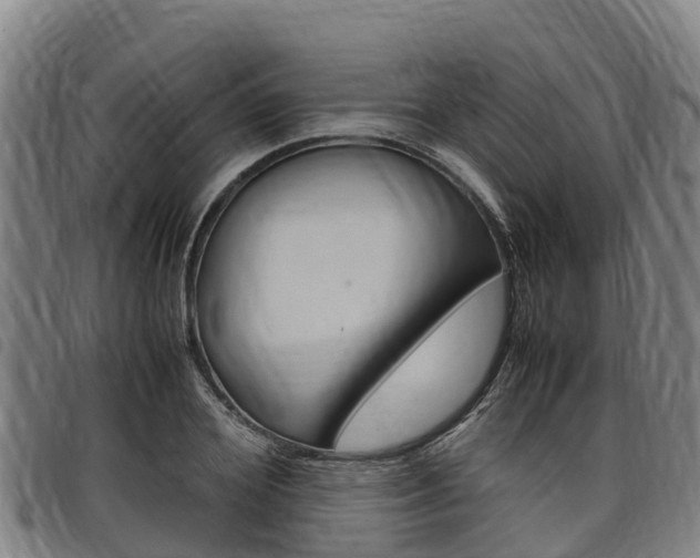 X0000098120980200804040820