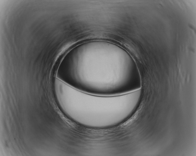 X0000098120981200804040820