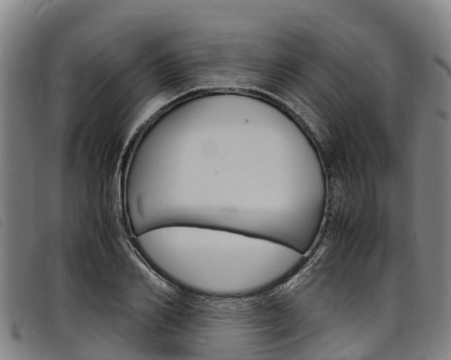 X0000098120982200804040820