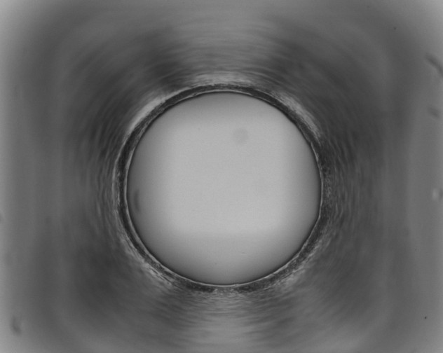 X0000098120983200804040820