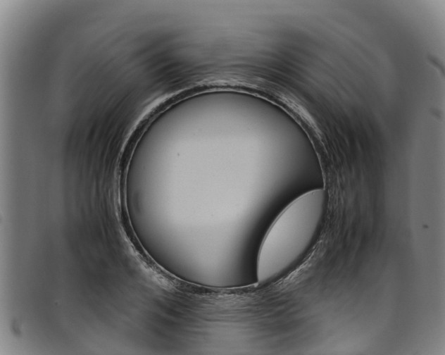 X0000098120984200804040820