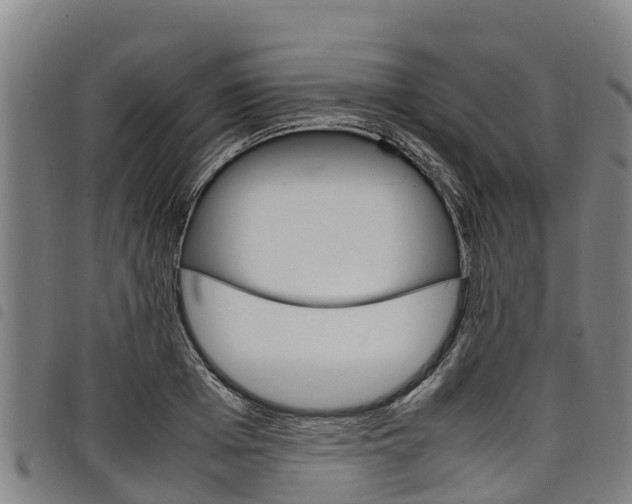 X0000098120985200804040820