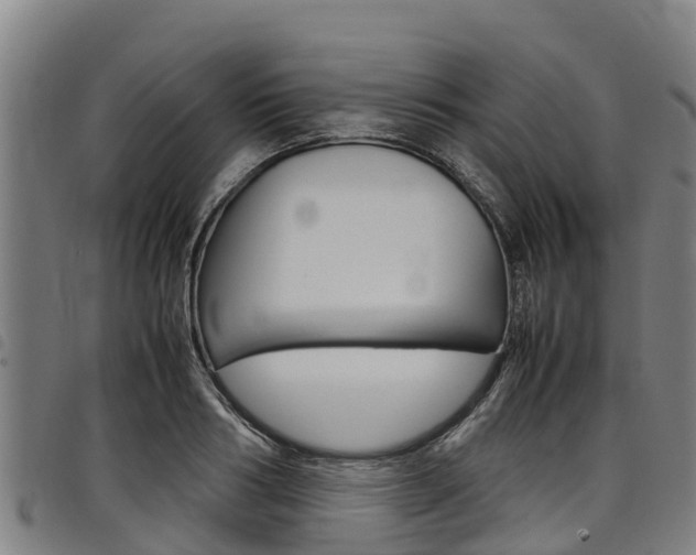 X0000098120986200804040820