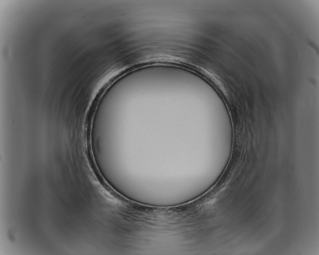 X0000098120987200804040820