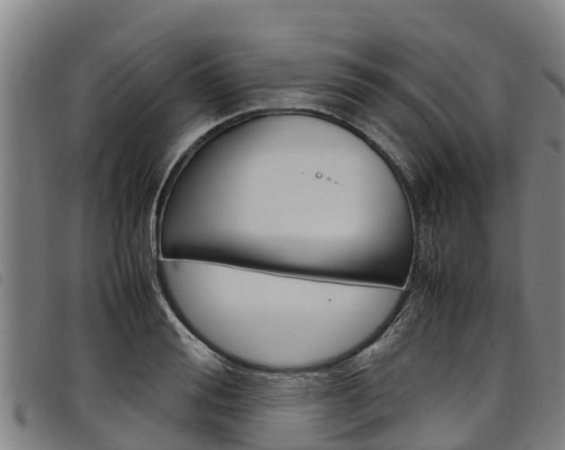 X0000098120988200804040820
