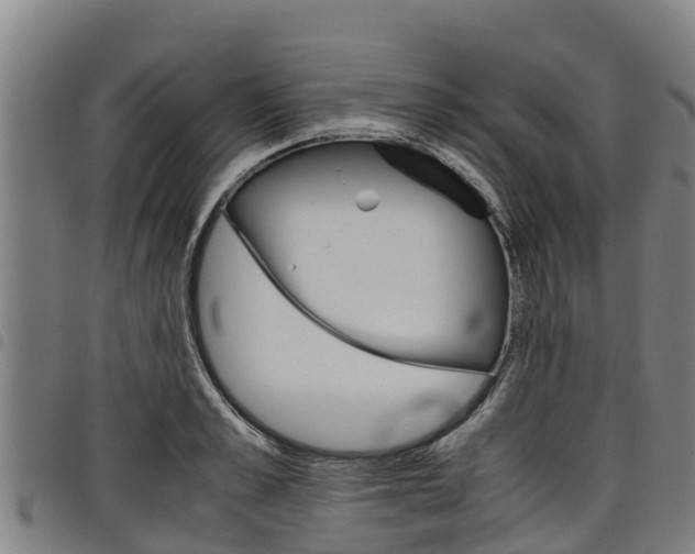 X0000098120989200804040820