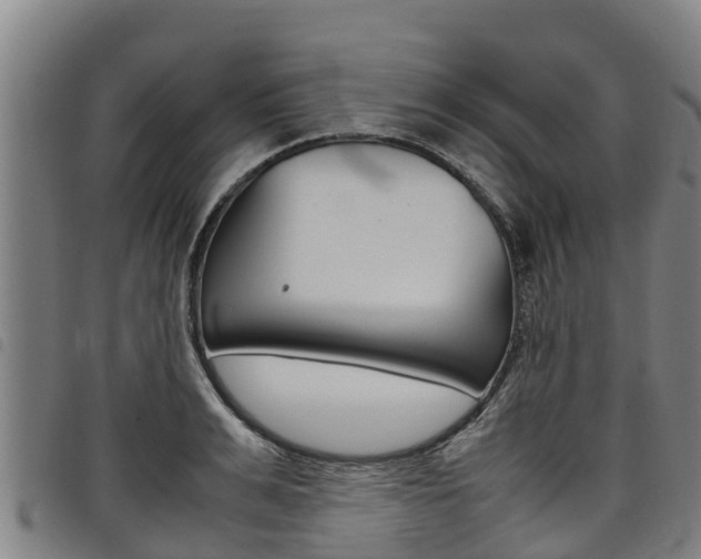 X0000098120991200804040820