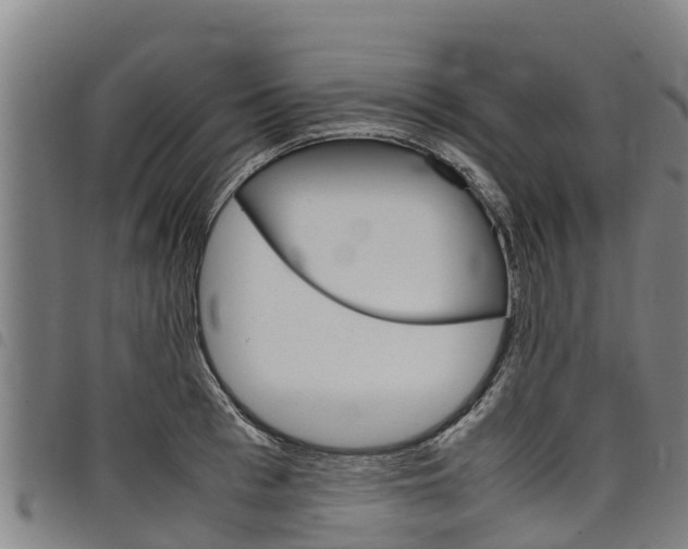 X0000098120993200804040820