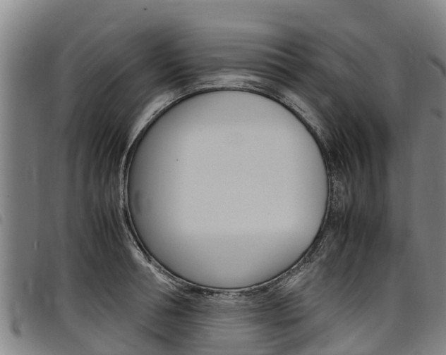 X0000098120994200804040820