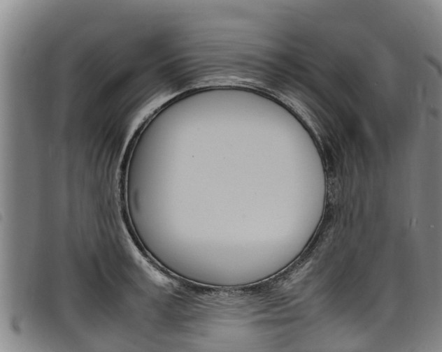 X0000098120995200804040820