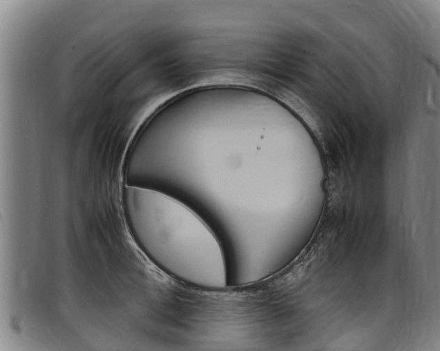 X0000098120996200804040820