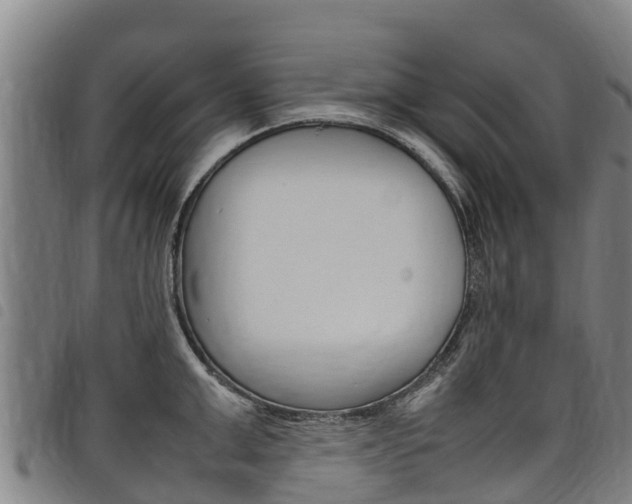 X0000098120999200804040820
