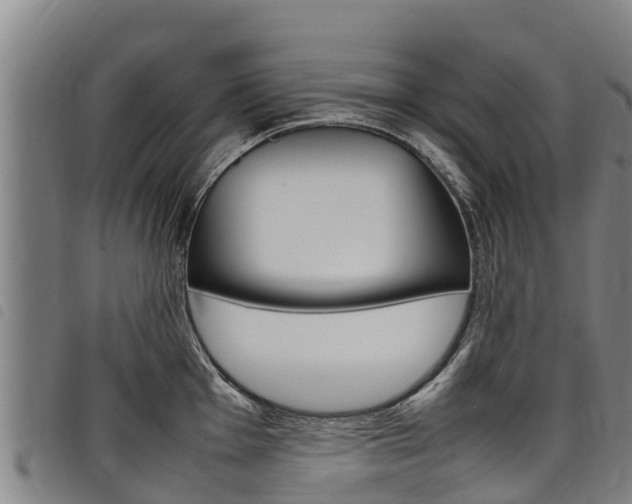 X0000098121001200804040820