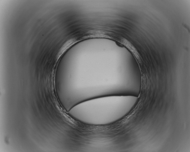 X0000098121002200804040819