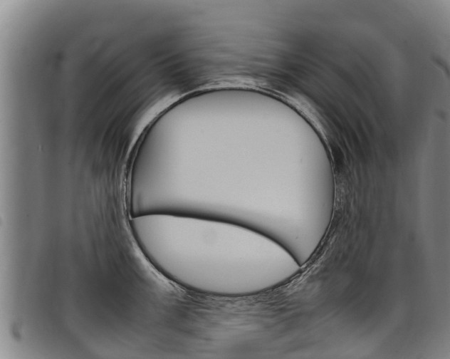 X0000098121003200804040819