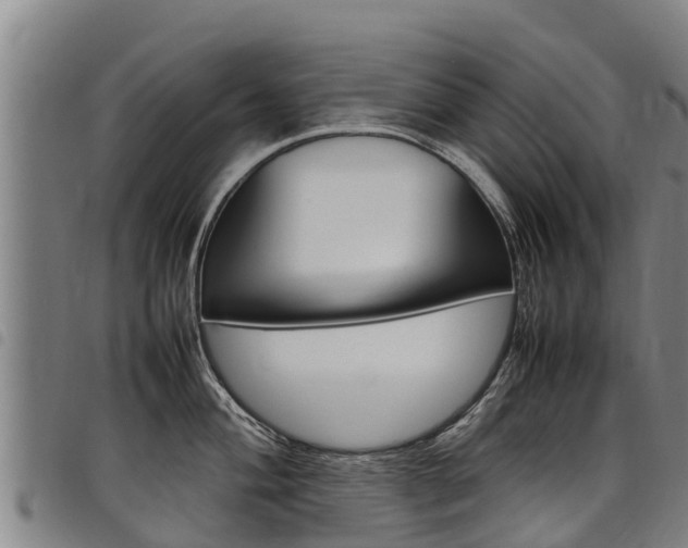 X0000098121004200804040819