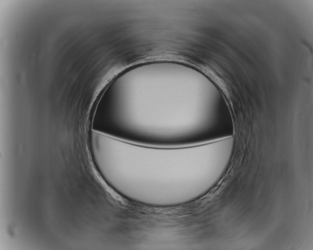 X0000098121005200804040819