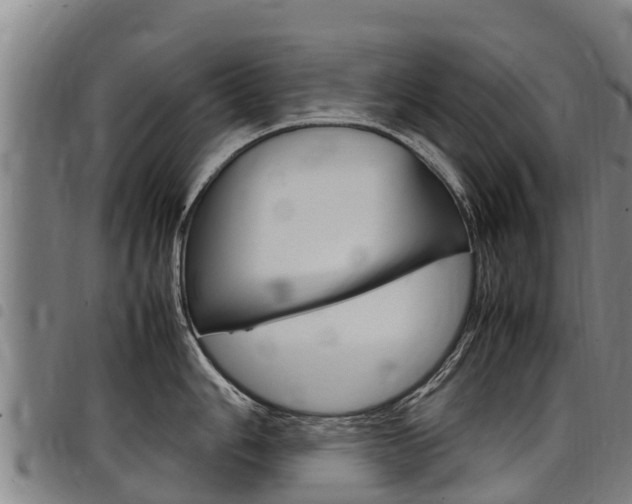 X0000098121006200804040819