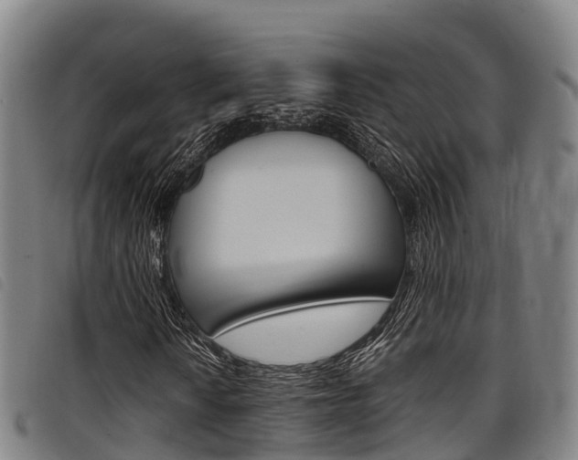 X0000098121010200804040819