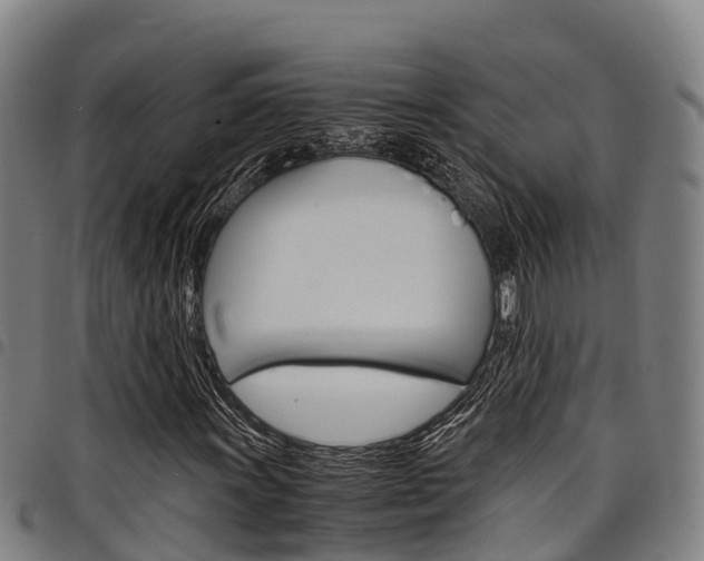 X0000098121011200804040819