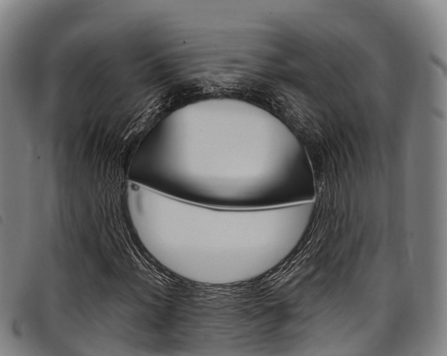 X0000098121012200804040819