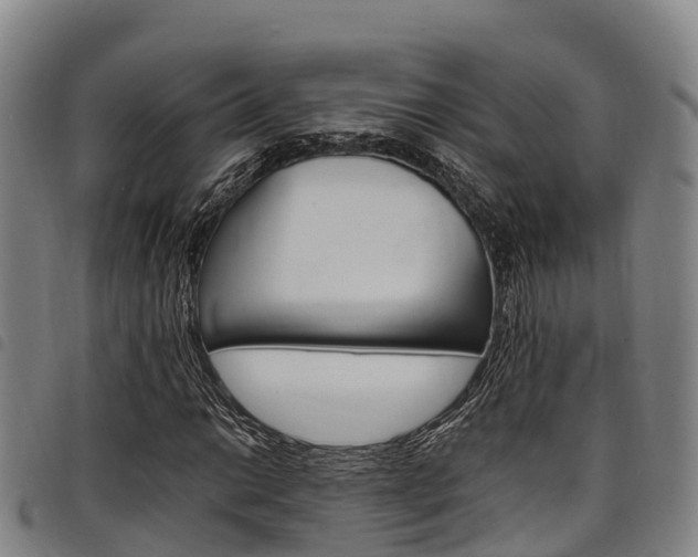 X0000098121014200804040819