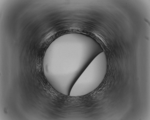 X0000098121015200804040819