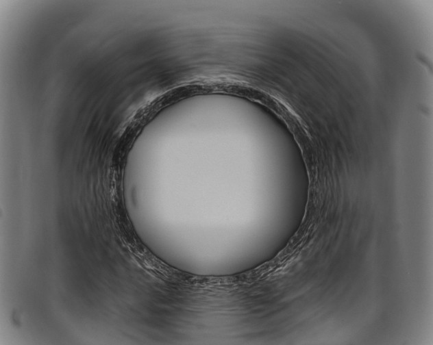 X0000098121016200804040819