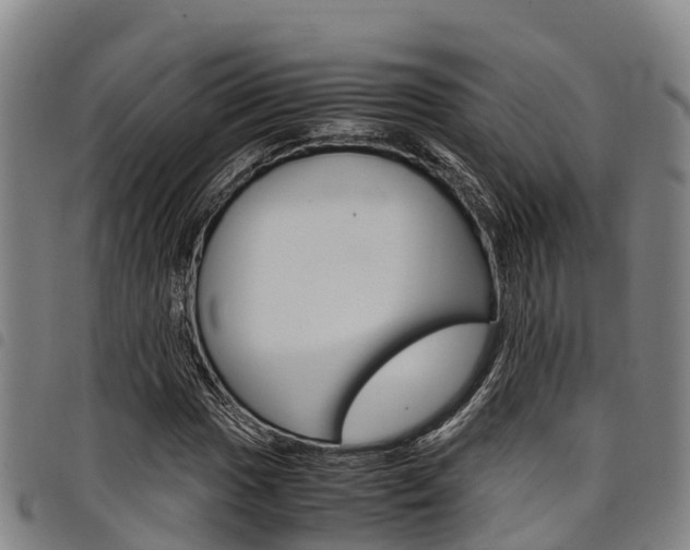 X0000098121017200804040819