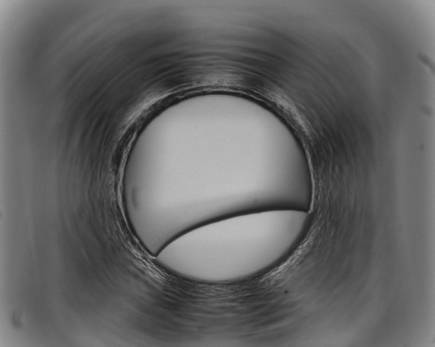 X0000098121019200804040819