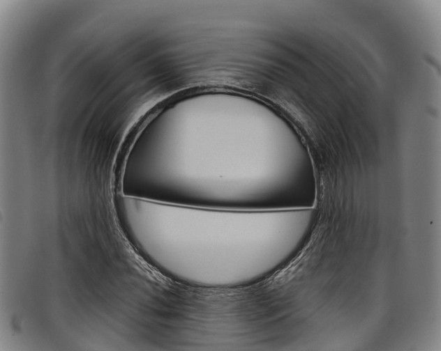 X0000098121020200804040819