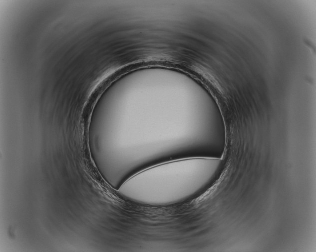 X0000098121021200804040819