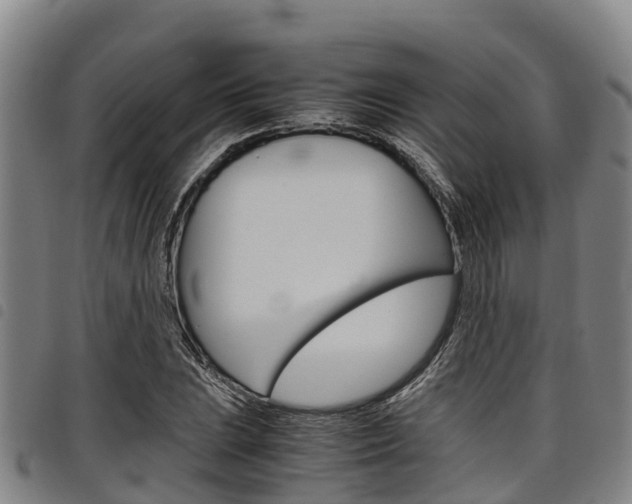 X0000098121023200804040819