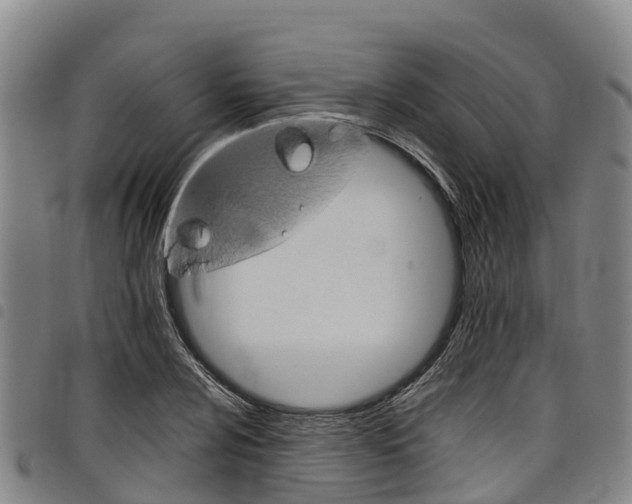X0000098121024200804040819