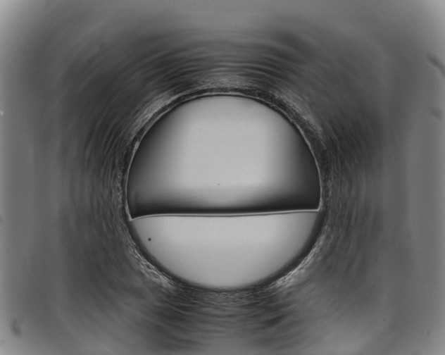 X0000098121025200804040819