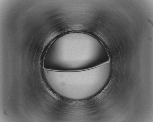 X0000098121026200804040819