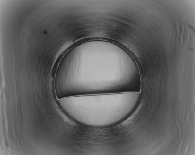 X0000098121029200804040819