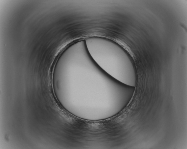 X0000098121031200804040819