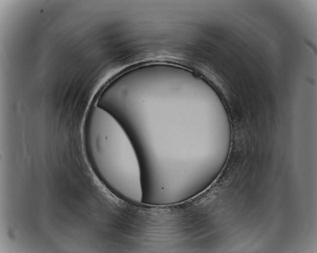X0000098121032200804040819
