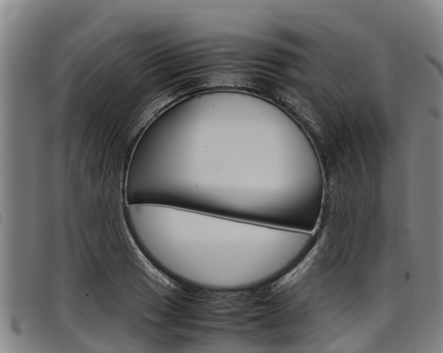X0000098121033200804040819