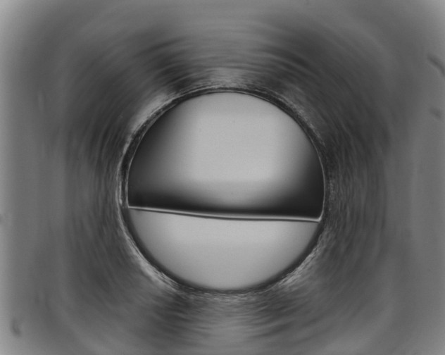 X0000098121034200804040819