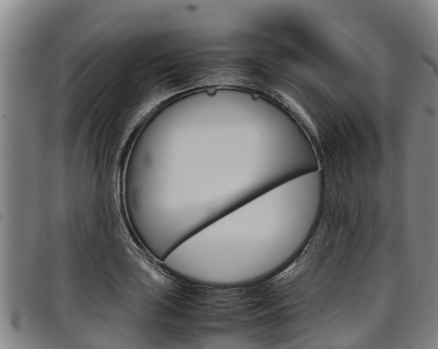 X0000098121035200804040819
